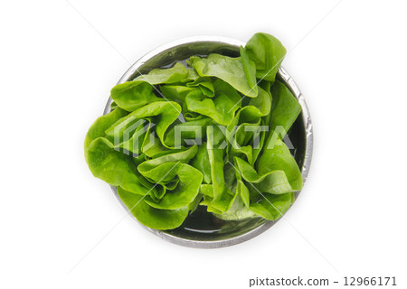 Salad cheese Salad cheese 12966171