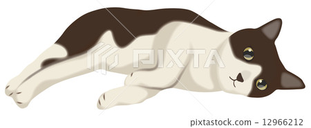 放鬆的貓_ 56 放鬆的貓_ 56 12966212