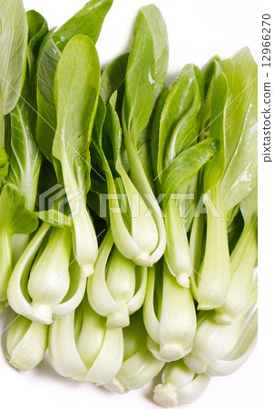 图库照片: fresh green bok choi isolated on white.
