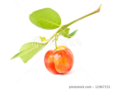 Barbados cherry isolated on white. Barbados cherry isolated on white. 12967152