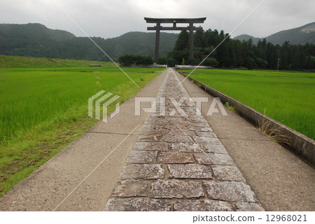 大野原Otorii（Kumano Honkya神社/和歌山縣田邊主神社） 12968021