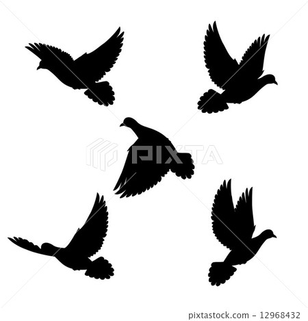 Set doves Set doves 12968432