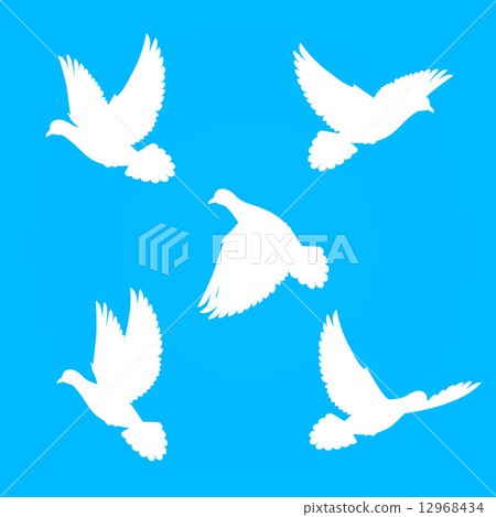 Set doves Set doves 12968434