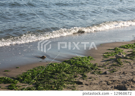 一個海灘 一個海灘 12968672