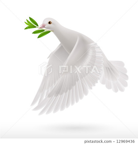 Fly dove 12969436