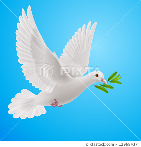 Fly dove Fly dove 12969437