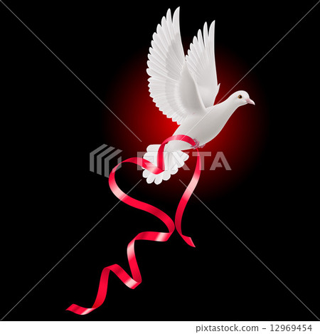 White dove with red ribbon 12969454