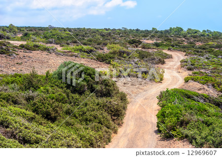 Cyprus rural landscape 12969607