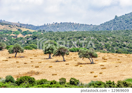 Typical cyprus rural landscape 12969609