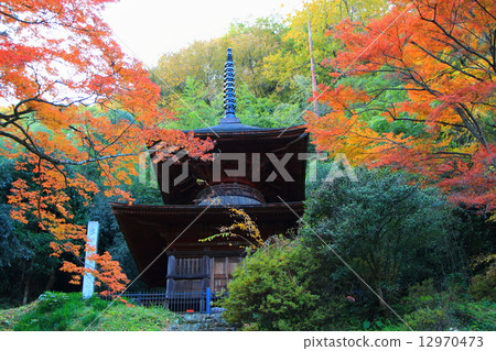 Kagami Shrine's Treasure Tower 12970473