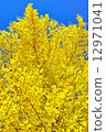Autumn leaves and blue sky 12971041