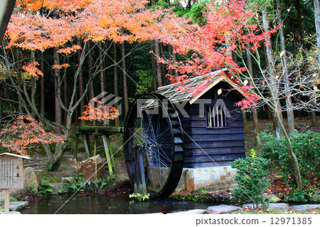 Autumn leaves and water mills 12971385
