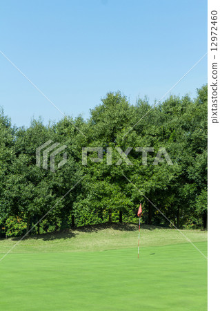 Golf green Golf green 12972460