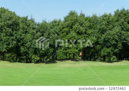 Golf green Golf green 12972461