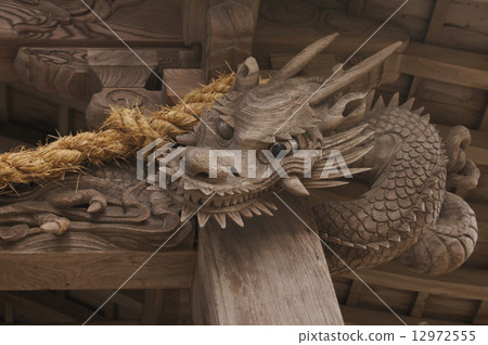 Dragon who will welcome New Year 12972555