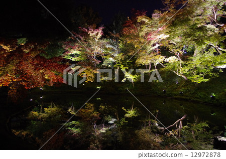 高台寺1 高台寺1 12972878