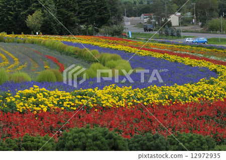 Colorful lively hills 12972935