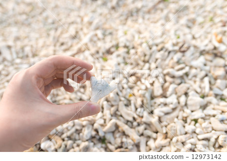 Coral fragments 12973142