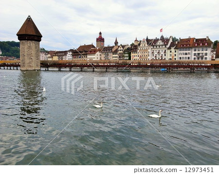 Swiss Lucerne Swiss Lucerne 12973451