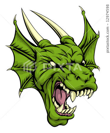 Dragon head illustration Dragon head illustration 12974598