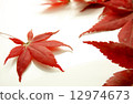 Maple 2 12974673
