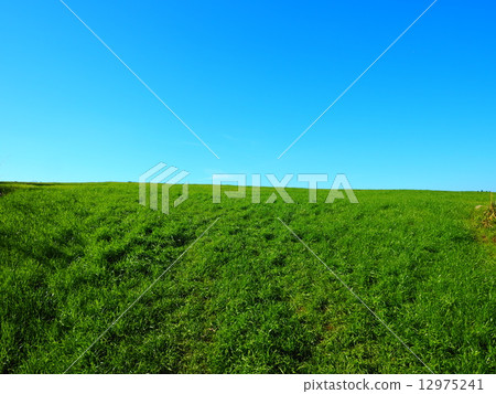 Aso grassland 12975241