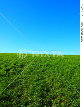 Aso grassland 12975242