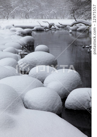 Kitsukuma 14 Kitsukuma 14 12975557