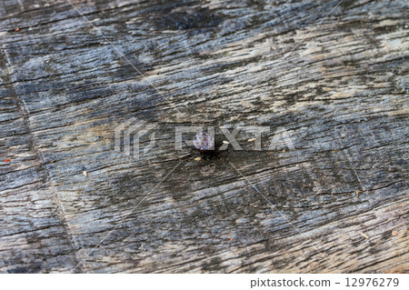 Nail in wood surface, horizontal photo 12976279