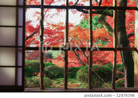 九年的秋天 12976396