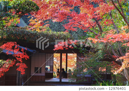 九年的秋天 12976401