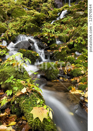 Autumn waterfall 16 12976644