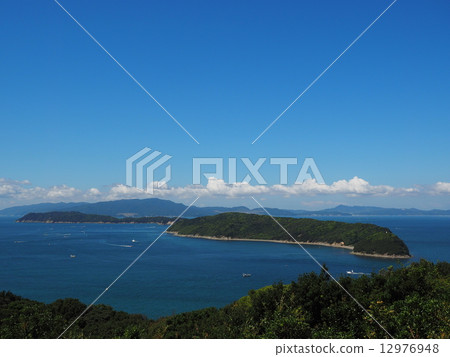 友島島 友島島 12976948