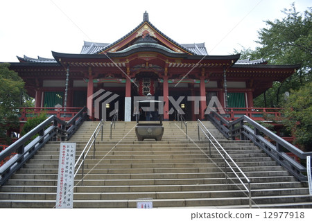Meguro immobility 12977918