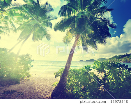 sunset on beach, Mahe island, Seychelles 12978348