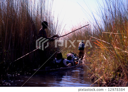 Mokoro going over Okavango Delta 12978384
