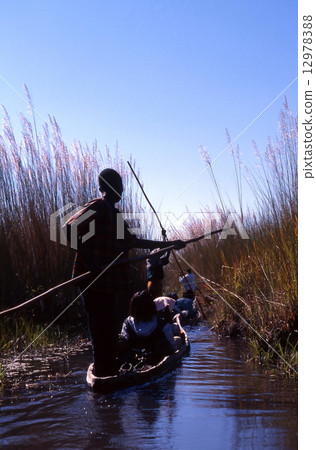 Mokoro going over Okavango Delta 12978388
