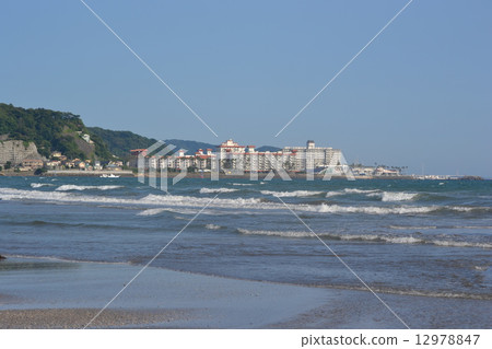 Timber Coast 12978847