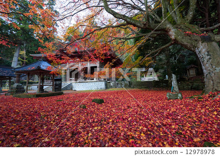 Late autumn Mt. 12978978