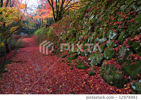 深秋山 深秋山 12978991