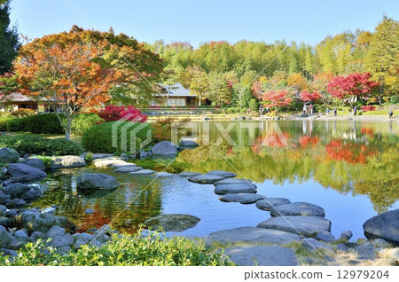 昭和紀念公園日本花園 12979204