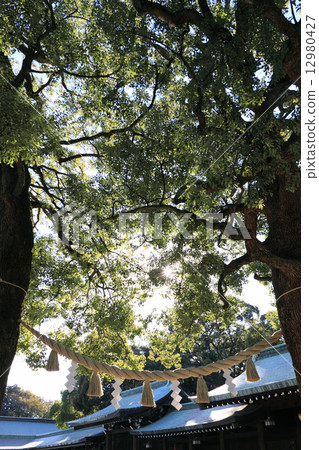 “明治神宮”神社 “明治神宮”神社 12980427