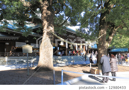 “明治神宮”靖國神社和神社 12980433