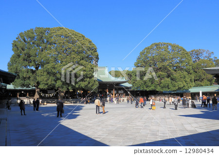 In the autumnal "Meiji Jingu" precincts In the autumnal "Meiji Jingu" precincts 12980434