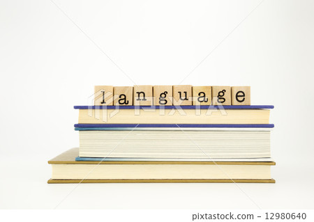 language word on wood stamps and books 12980640