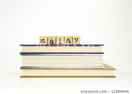 malay language word on wood stamps and books 12980646