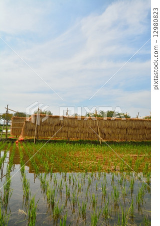 內陸風光 12980823