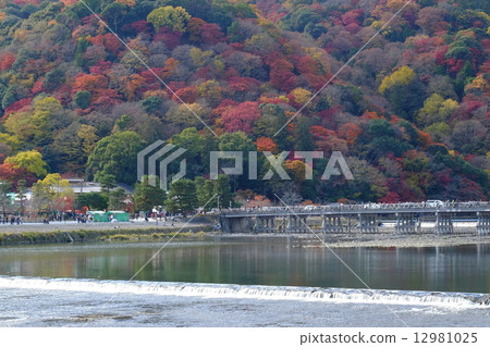 Autumn Arashiyama landscape 12981025