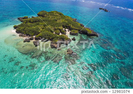 Okinawa aerial photograph Nago city Henoko base construction site 12981074