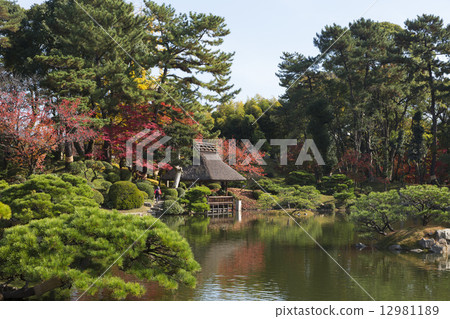 秋天風景在秋天 12981189